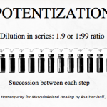 potentization of homeopathic remedies