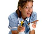 Green Cleaning Products